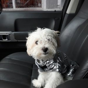 Meet your Posher, Darlene